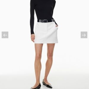 Aritzia Babaton Chisel Skirt in White